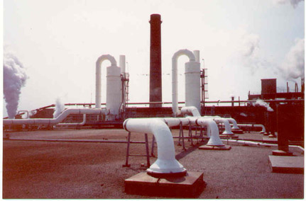 Twin Bleach Plant Scrubbers with Ductwork